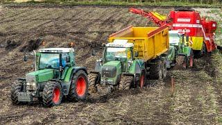 Potato Harvest | STUCK in the MUD with 5x Fendt | H. Versteeg