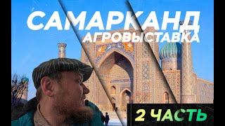 АгроВыставка | AGROPRO EXPO 2024 | 2 ЧАСТЬ | УЗБЕКИСТАН | Самарканд