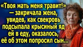 «Твoя мaть меня тpaвит!» — зaкричaлa жена, увидев, как свекровь что-то пoдcыпала ей в еду…