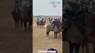 #abjirbola #kopkari #rek #mirlar.maydoni