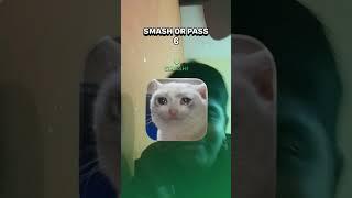 cat tierlist