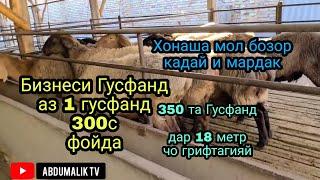 Бизнеси ГУСФАНД дар Хона 350 та  дар 18 метр чо грифтагияй Гусфандпарвари да Хона