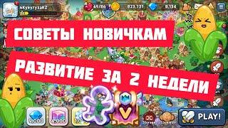 Советы Новичка --- 2 Недели Аккаунт Что Успел?? Cookie run: Kingdom