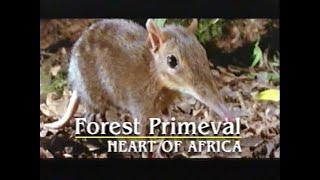 National Geographic: World's Last Great Places: Hidden Congo - The Forest Primeval (1996)