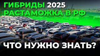 Гибриды и растаможка в РФ: что нужно знать? ЦЕНЫ В 2025 ГОДУ