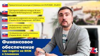 Финансовое обеспечение при подаче на ВНЖ в Словакии. Справка из банка о наличии денег на счету.