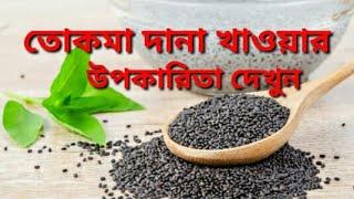 তোকমা দানার অজানা উপকারিতা/তোকমার ওষুধিগুন/খাওয়ার নিয়ম/সতর্কতা/Tokma/Health benefits of basil seeds.