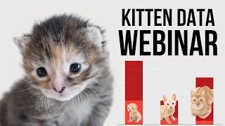 Webinar: Kitten Data Insights for Animal Welfare Professionals