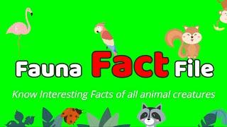 Channel Trailer - Fauna Fact File | #FaunaFactFile