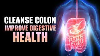 Cleanse Colon Inside Out | Boost Your Gut Bacteria | Improve Overall Digestive Health | 741 Hz Detox