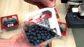 MULTIVAC TopCLOSE™ (Blueberries)