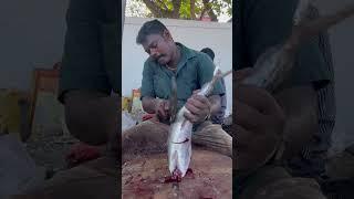 KASIMEDU SELVAM FISH CUTTING VIDEO | FISH CUTTING SKILLS | #kasimedu | UK SONS MARINE