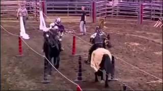 Medieval Jousting  World Record - Official World Record