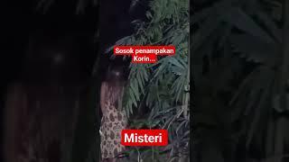 sosok penampakan korin #shorts