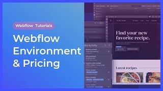 Webflow Environment & Pricing