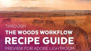 Through the Woods Recipe Guide Preview   Sleeklens Adobe Lightroom Presets