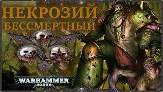 Всё о Некрозие Бессмертном (WARHAMMER 40000)