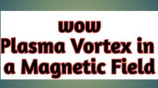 Plasma vortex in a magnetic field