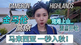 Chill in Cameron Highlands在大马穿毛衣？自驾金马高原避暑 | 盘山公路惊险又美 | 禅意度假酒店+高原火锅体验