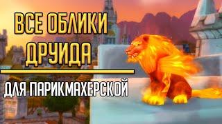 ПОЛУЧЕНИЕ ВСЕХ ОБЛИКОВ в парикмахерскую для друида в World of Warcraft! Кастомизация обликов друида