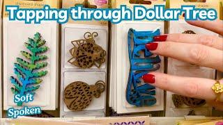 ASMR * Dollar Tree Tap-Through!!