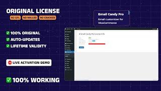 Email Candy Pro with License Key | Email Customizer for WooCommerce | Custom Email Designer WP