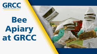 Bee Apiary at GRCC Tassell M-TEC