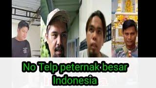 No telp peternak besar ayam di Indonesia