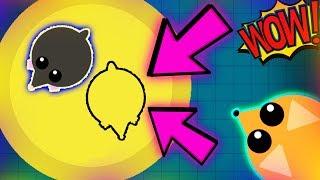 MOPE.IO 99.9% BEST GLITCH EVER! | INVISIBLE MOLE | FUNNY MOMENTS