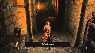 Dark Souls : Prepare to Die Edition - Part.1 บินไปกับเป็ด...!