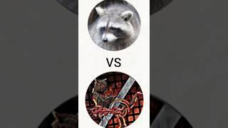 RenaxtheRaccoon vs Carnox Who Win