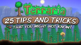 25 Useful Tips and Tricks in Terraria That You Might Not Know!