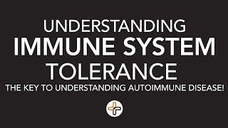 Understanding Immune System Tolerance - the Key to Understanding Autoimmune Disease!