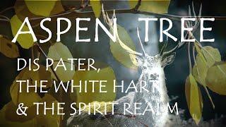 Around the Grove ~ ASPEN ~ DIS PATER and the WHITE HART