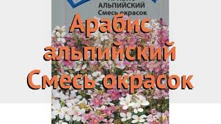 Арабис альпийский Смесь окрасок (smes-okrasok)  обзор: как сажать, семена арабиса Смесь окрасок