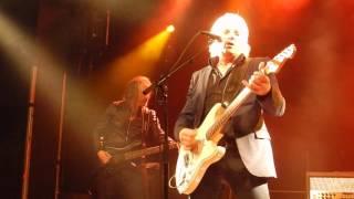 Neil Taylor - Love Changes Everything (live) - 5/5/16 - Vienna, Szene