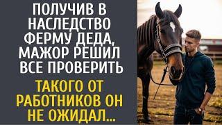 Получив в наследство ферму деда, мажор решил все проверить… Такого от работников он не ожидал…