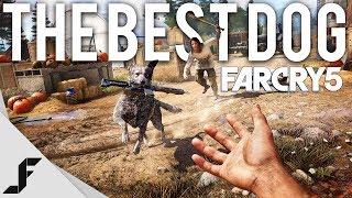 BEST VIDEO GAME DOG - FAR CRY 5 Gameplay + First Impressions