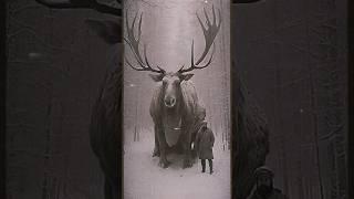 One large reindeer #ai #snow #christmas #￼reindeer #giant #horror #terrors