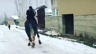 #Buzkashi #Kokpar #Kokboru #Horse #sport