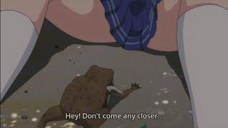 Pervert Frog  || Ecchi Anime