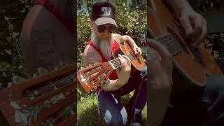 Guitar Talk!  #BluesRock #ClassicRock #RocknRoll #GuitarPlayer #Guitarist #Guitar #GuitarSolo