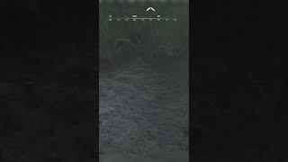 Hunt showdown asmr sound