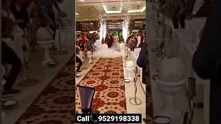 bride and groom entry dry ice  effect cold pyro fireworks blaster #dryice #fireworks 9529198338 #ice