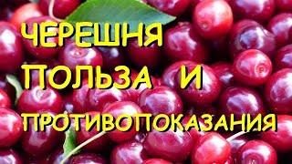 Черешня польза и вред для здоровья.