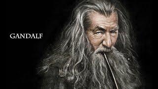 Gandalf the grey || we live in a beautiful world