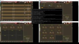 Creating a Runescape bot with python - Running the bot for 40 minutes