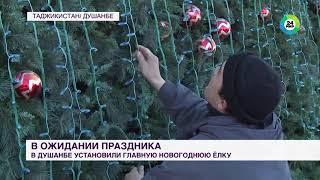 Инновационная елка: в Душанбе установили главный символ Нового года