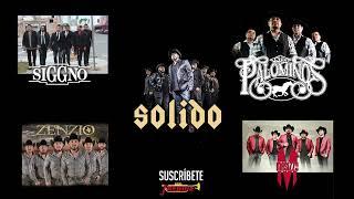 Norteños Lite MIX PODEROSO - Los Palominos / Siggno / Solido / Masizzo / Zenzio