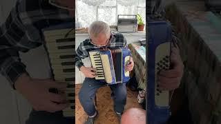 Italian piano accordion Firotti, 1/2 accordion, 32 Bass, 26 keys, 2 voices, Musical instrument